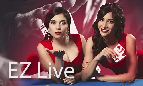 Live Blackjack with professional dealer